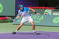 David Ferrer Forehand
