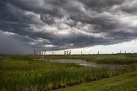 Approaching Storm at Viera Wetlands