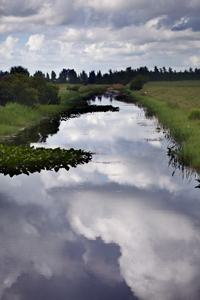 Loxahatchee National Wildlife Refuge