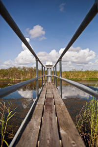 Loxahatchee National Wildlife Refuge